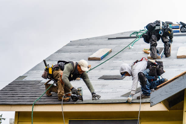 Professional Gutter Installation technician working in Alleman, IA